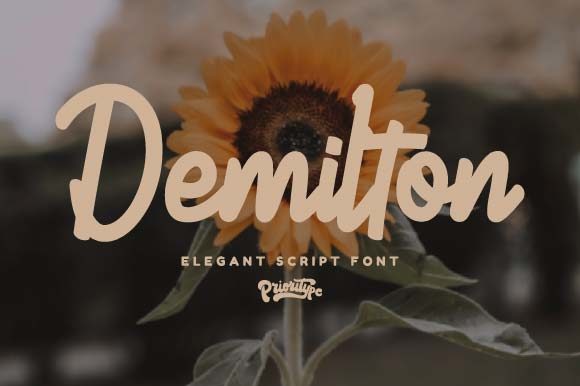 Demilton: The Perfect Handwritten Font for Your Brand