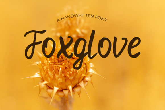 Elegant Foxglove Font for Modern Web Design