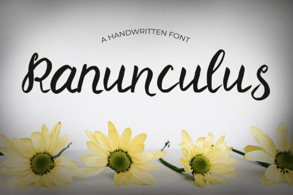 Enhance Your Brand with Ranunculus: A Delicate Handwritten Font